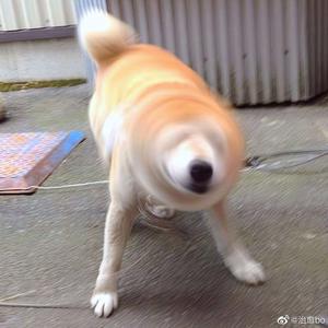 被老师强行双龙破苞H
